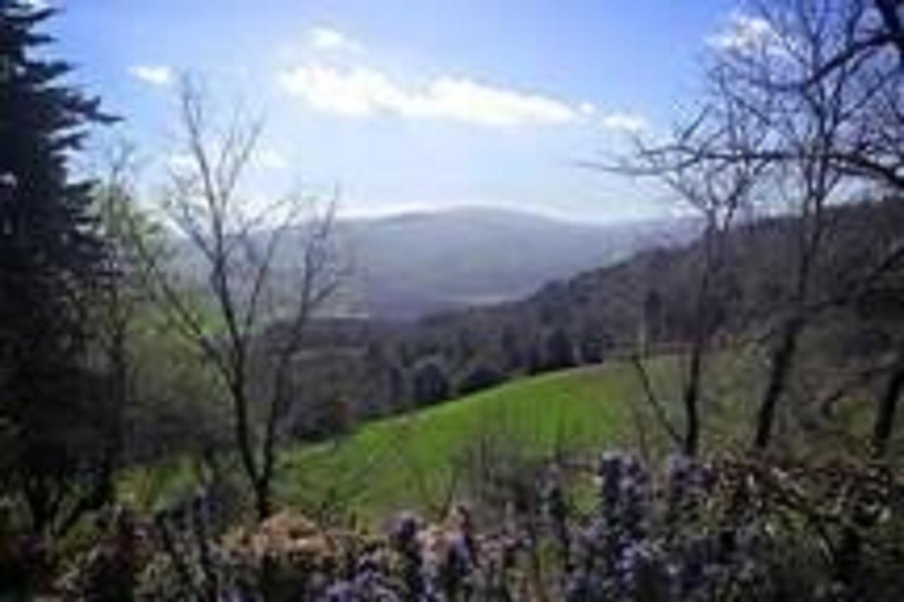 Podere Cerreto Casole dʼElsa المظهر الخارجي الصورة